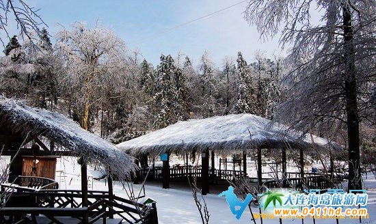 ��������ѩ��