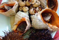 �����ōu�O�Ҙ��@9̖�ĺ��r��ʳ�DƬ