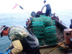 �����ōu���ϲ��ƈDƬ