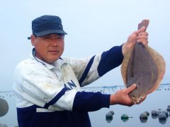 �����ōu�W(w��ng)���B(y��ng)ֳ���r