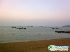 �V¹�u����,�V¹�u������