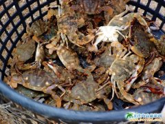 ���B�L(zh��ng)�d�u�ú��r�DƬ