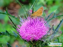  �V¹�u��Ů���ϵ�Ģ�� 