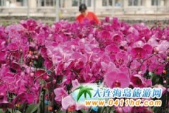 ��혺����m ���껨�_(k��i)100�f(w��n)��