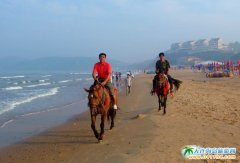  ���Ѝu��߅���T�R�� 