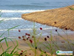 ���Ѝu�DƬ-�L(f��ng)�еĻ���