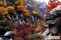 Ъ�Rɽ�f�DƬ\���¾��zӰ��Ʒ