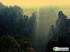 ���ҽ����ξ��c�DƬ-���ʯ�ֵĶ��_��Ч��(y��ng)