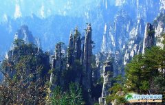 �����ď��ҽ�����ͦ