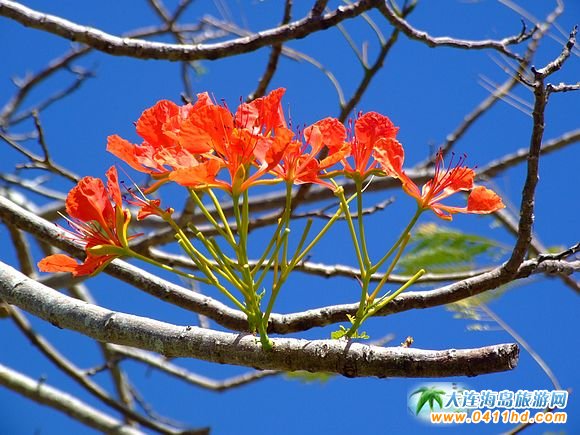 �����u����(gu��)�o(j��)��@