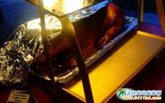 �����u������ʳ���]-�����i