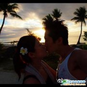 ������L�Ӻ������������������u