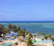 �����u���m�Ƶ�,ż�����{