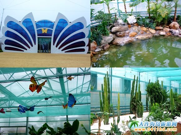 ��혵��ٻ������@