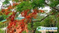 �����u�����P�˻����]ƪ