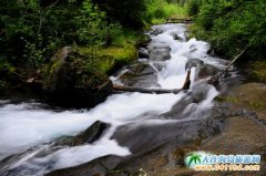 �L(zh��ng)��ɽ���ι���:�������ι���