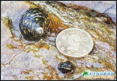  ����u�DƬ-���_(����) 