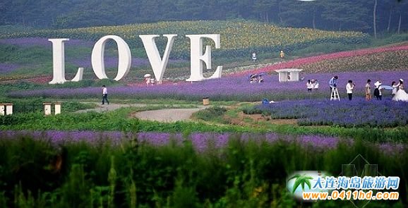 ����ϟ�޹�²��f�@