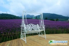 ���B���ƻ�ϫ޹�²ݹ��@�TƱ60Ԫ