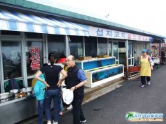  �n���DƬ-�n����(j��)�ݍu���r�DƬ 