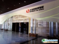 ���B��ʯ�������W�ز����^