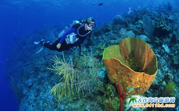 �����u��ˮ