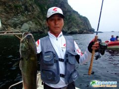 butterflies-are-gross