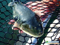  �V¹�u�����~�B(y��ng)ֳ�����V¹�u�DƬ 