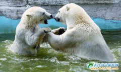 ���B����,���B������(�ϻ���������@����ʯ�����Ǻ��V��)