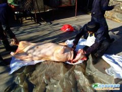  ʯ�Ǎu����֮���������r(n��ng)�Қ��i�� 