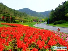 ���B���ΈDƬ�������µĞI��·�DƬ