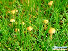 ���B���ΈDƬ������������СĢ��