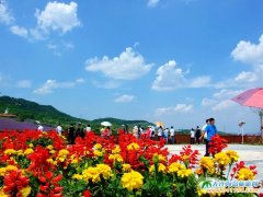  ���ĺ���,���������硪��2013���ƻ�ϫ���DƬ 