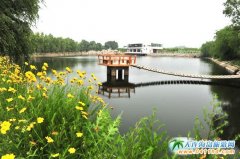 2013���B��֮�l(xi��ng)�f�@һ����