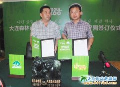 ���Bɭ�ք�(d��ng)��@�c�נ���(d��ng)��@���Y(ji��)�ѺÈ@