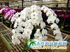 ���B�����^(q��)����