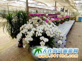 ���B�����^(q��)����