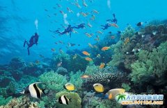 ���B����������:�����������������p�w��