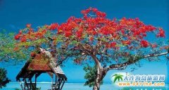 �����u����,���������������g