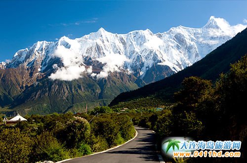 �������(m��ng)���l(f��) �l(f��)�F(xi��n)����������֥