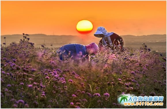 �Ҹ��l(xi��ng)��•������(y��ng)