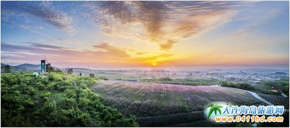 �Ҹ��l(xi��ng)��•������(y��ng)