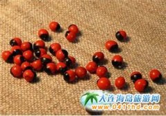 �����خa(ch��n)֮���ϼt��