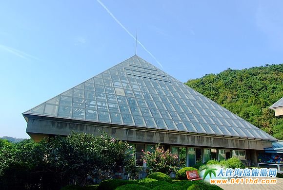 ���Bɭ�ք�(d��ng)��@�TƱ