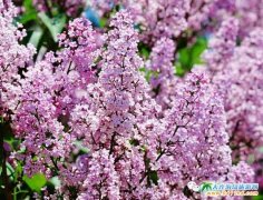 ���B�����^(q��)���ι���_����(sh��)�^(q��)���p��֮��