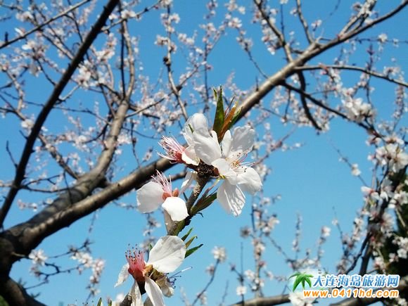 ������(ji��)����