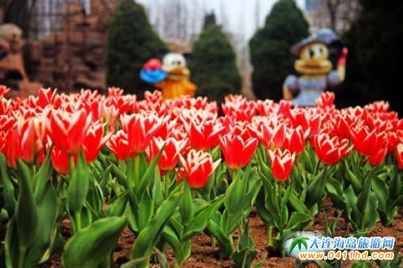 ������һ���B����