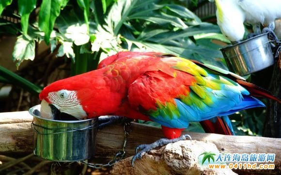 ��һ���B����