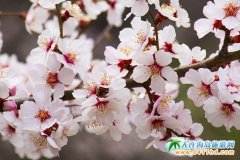 �M(m��n)���һ�����֥�ɾ�