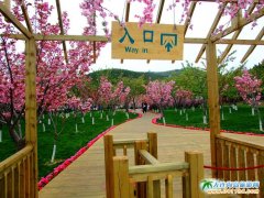 ���203�ߵؙѻ��@�DƬ